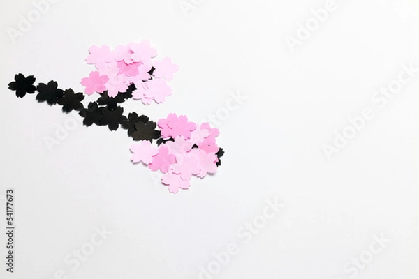 Fototapeta さくら