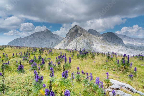 Obraz Alpenwanderung