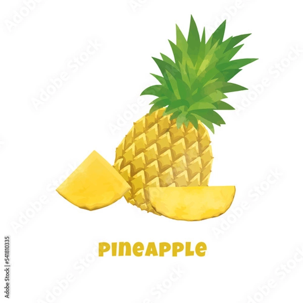 Fototapeta Colorful pineapple vector isolated on white background