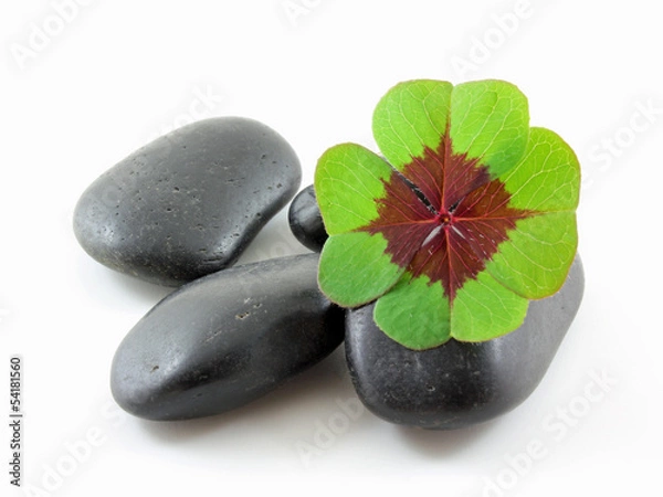 Fototapeta Steiniges Glück