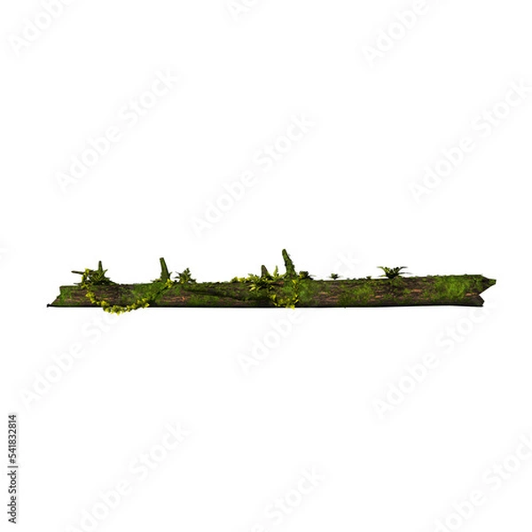 Fototapeta Front view of Tree (Fallen Tree Trunk 1) Plant png
