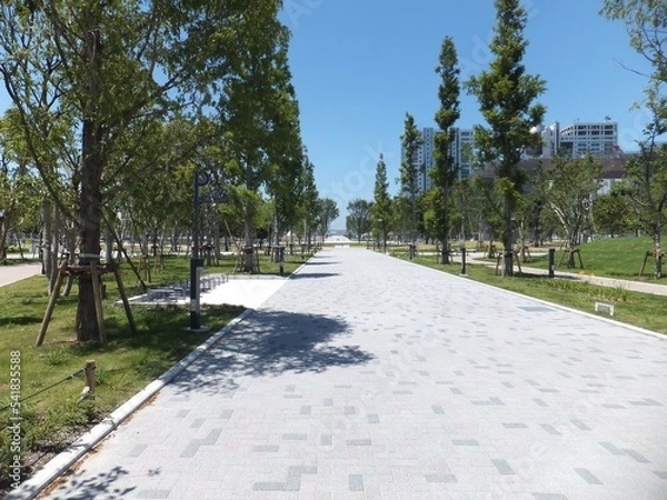 Obraz お台場、真昼の遊歩道