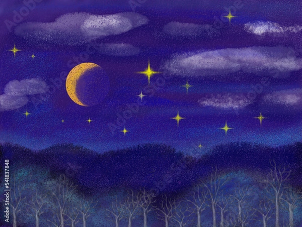 Obraz 夜の森の風景