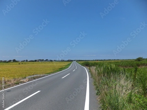 Obraz 房総半島の田園と集落