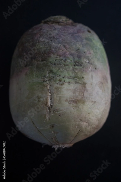 Obraz L'apothéose du radis..