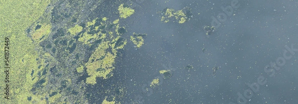 Obraz Garbage and blooming green water. Algae bloom due to pollution. Environment and water pollution protection concept. Banner