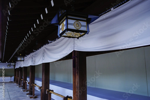 Fototapeta 明治神宮の境内