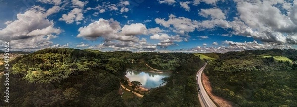 Obraz Panorama floresta.