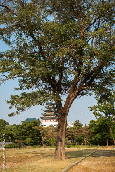 Obraz traditional palace tree