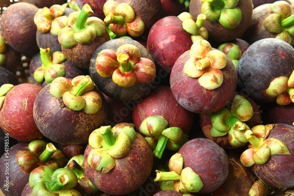 Obraz Mangosteen Thai fruit