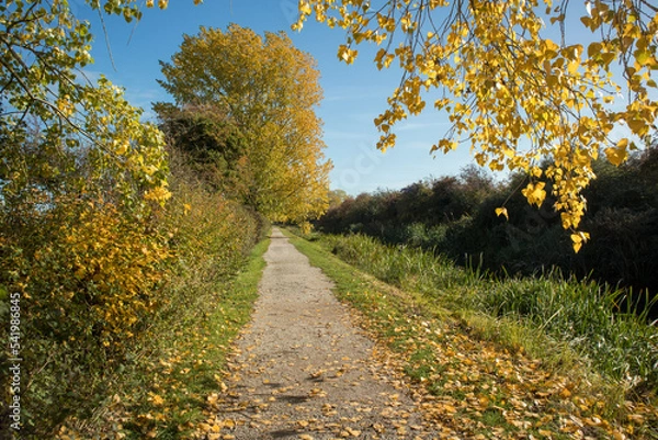 Obraz Canal towpath in Autumn