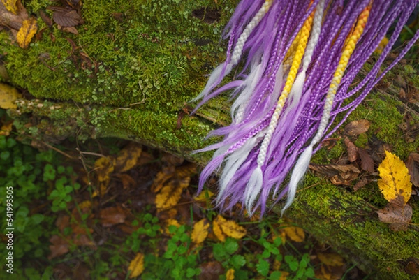 Fototapeta Colourful synthetic box braids lying on a moss covered tree trunk in an autumn environment.