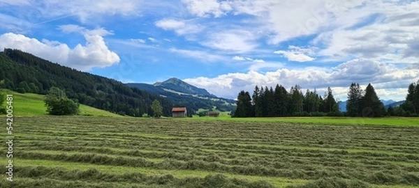 Obraz Landschaft Oberallgäu Deutschland