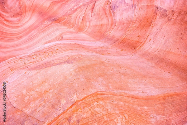 Fototapeta Macro closeup abstract red pink colorful sandstone rock formation layers of wave pattern on rock cliff in Gifford Canyon trail Utah Zion National Park