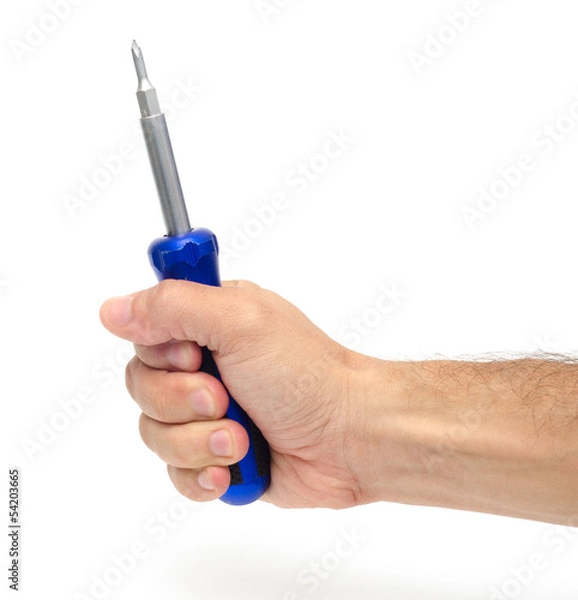 Obraz Screwdriver in hand
