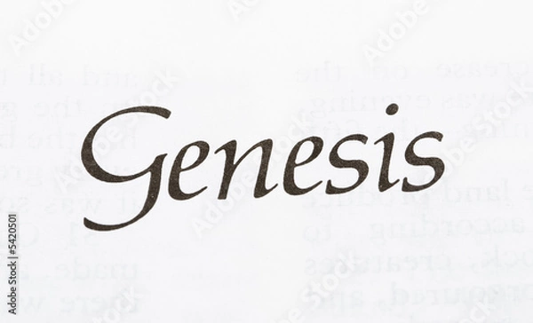Obraz Genesis