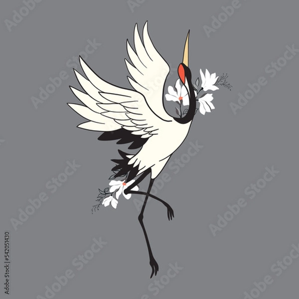 Fototapeta Japanese crane bird isolate on a white background.