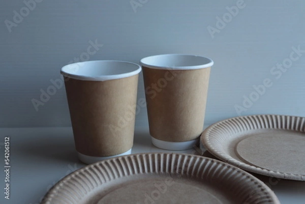 Obraz Disposable tableware glass and plate made of cardboard.