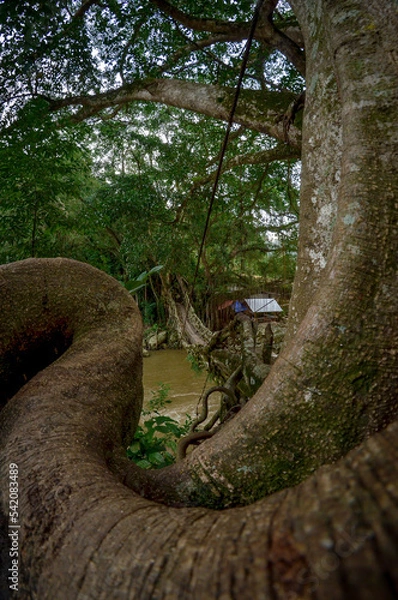 Obraz Natural Bridge