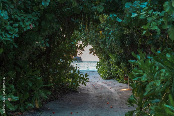 Obraz 바다로 이어진 숲길, 몰디브