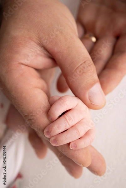 Fototapeta The hand of a sleeping newborn in the hand of parents, mother and father close-up. Tiny fingers of a newborn. The family is holding hands. Studio macro photography. Concepts of family and love.