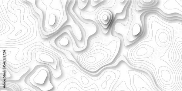 Obraz Abstract topographic contours map background, Vector contour topographic map background. Topography and geography map grid abstract backdrop.	

