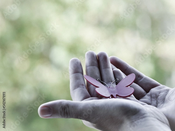 Obraz butterfly in hands
