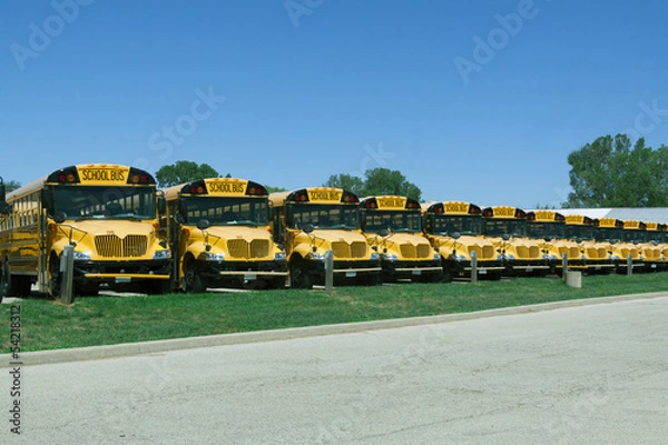 Fototapeta school buses