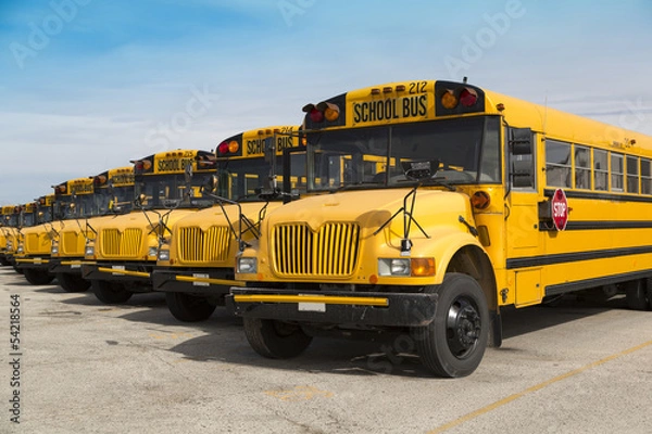 Fototapeta school buses
