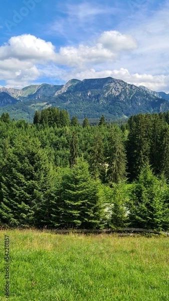 Obraz Panorama Berge und Wald