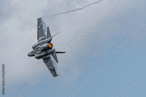 Obraz F-35 with vapes