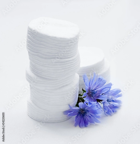Obraz cotton pads
