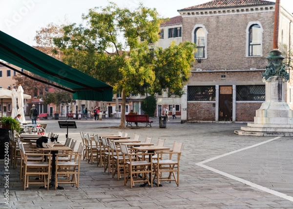 Obraz cat on top of a restaurant table in Venice, Italy 
