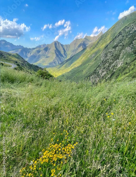 Obraz mountain landscape with flowers