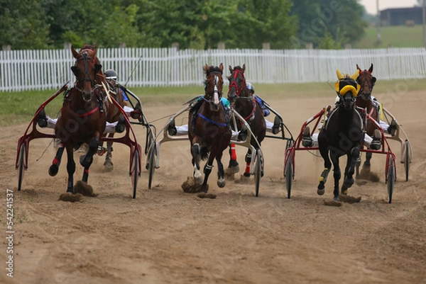 Fototapeta Horses and riders running at horse races