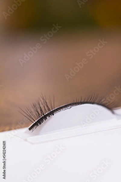 Fototapeta The process of training eyelash extension 3d close-up on a white background