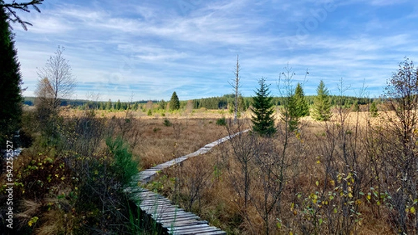 Obraz Herbst - Impressionen vom Hohen Venn