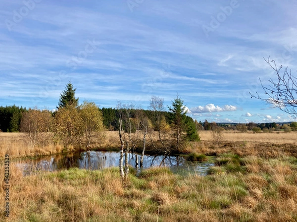 Obraz Herbst - Impressionen vom Hohen Venn