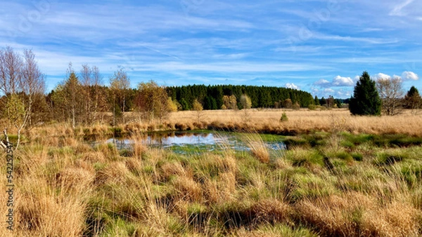 Obraz Herbst - Impressionen vom Hohen Venn