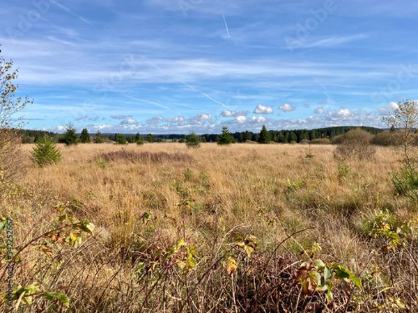 Obraz Herbst - Impressionen vom Hohen Venn