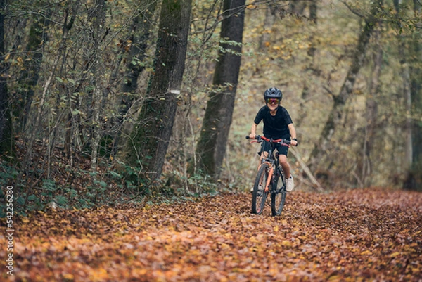 Obraz Enfant en vélo dans les bois en automne