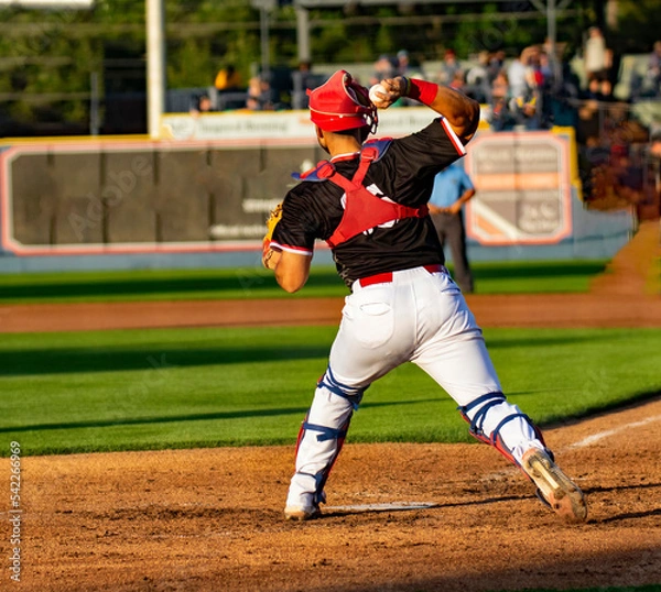 Fototapeta baseball player