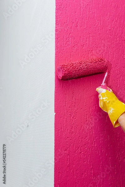 Fototapeta A girl paints a wall close-up with a roller in pink in her new apartment. Renovation of the interior and a new apartment. Housewarming and a desirable mortgage.
