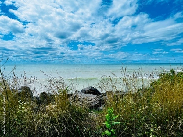 Fototapeta grass and sky