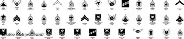 Fototapeta Rank structure usa army marines air force navy vector design