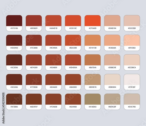 Fototapeta Brown color palette with hex