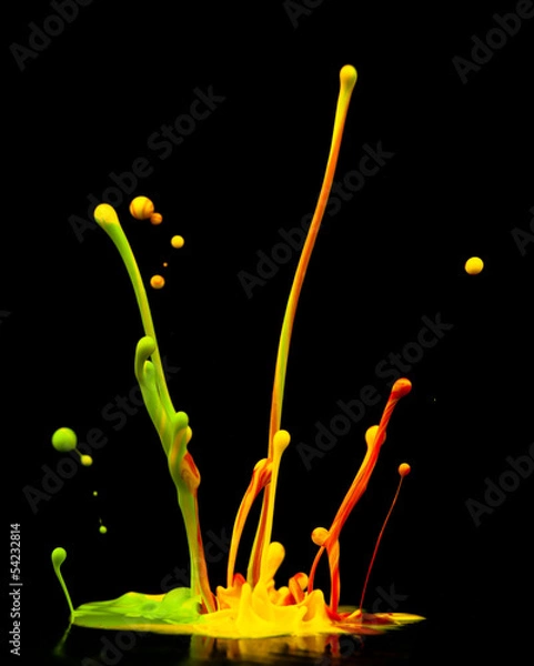 Fototapeta Colorful paint splashing