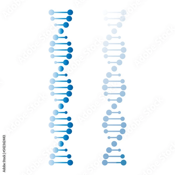 Fototapeta DNA genetics symbol on a white background. Chromosomal genetic spiral illustration. EPS 10 vector icon