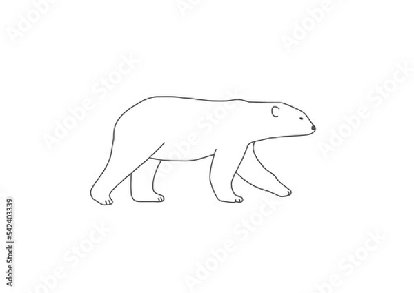 Obraz シロクマ　ホッキョクグマ