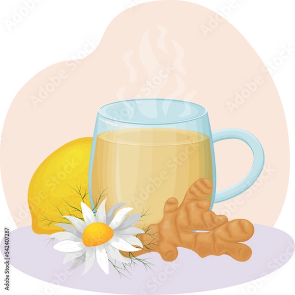 Fototapeta Tea with lemon and ginger. A hot cup of tea with chamomile. Medicinal decoction in a glass. Vector illustration